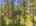 Blurred preview of media: 334 N Pine Meadows Rd - 75