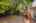 Blurred preview of media: 1-55