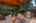 Blurred preview of media: 1-60