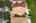 Blurred preview of media: iPixx_10_28