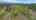 Blurred preview of media: DJI_0252