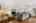 Blurred preview of media: 13-print-P2209352