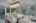 Blurred preview of media: DSC02192