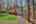 Blurred preview of media: IMG_9688_89_90_easyHDR