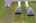 Blurred preview of media: iPixx_10_16