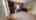 Blurred preview of media: 4-La-Jolla-Ln-02232022_201220