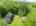 Blurred preview of media: 66 Woobly Road Bolton Massachusetts Job 39072 0075