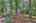 Blurred preview of media: IMG_2110_1_2_easyHDR