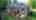 Blurred preview of media: DJI_0193