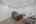 Blurred preview of media: 81-bracken-hill-road-hamburg-nj-usa-005