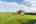 Blurred preview of media: DSC03850
