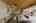 Blurred preview of media: DSC06645