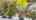 Blurred preview of media: 70