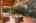 Blurred preview of media: 1-100