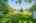 Blurred preview of media: 420 Upper Gage Ave, Hamilton _ JON MACHADO63