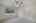Blurred preview of media: DSC01294