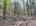 Blurred preview of media: DJI_20260505134016_0808_D_09_D_10_D_easyHDR