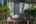 Blurred preview of media: 081A0134