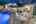 Blurred preview of media: www.sandiegophotography.info-182