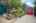 Blurred preview of media: 1-36