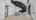 Blurred preview of media: Lounge 01