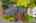 Blurred preview of media: 1-69