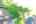 Blurred preview of media: DJI_0502