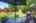 Blurred preview of media: IMG_9274