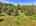 Blurred preview of media: 9zzk
