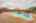 Blurred preview of media: Image-50