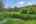Blurred preview of media: NZ9_9587