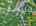 Blurred preview of media: DJI_20260613114353_0734_D_5_D_6_D_easyHDR