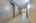 Blurred preview of media: 027