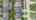 Blurred preview of media: 077