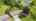 Blurred preview of media: DJI_0354