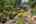 Blurred preview of media: 1-21