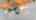 Blurred preview of media: 723CountyRd242-32