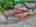 Blurred preview of media: DJI_20260613114146_0710_D_1_D_2_D_easyHDR