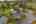 Blurred preview of media: 1-71