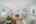 Blurred preview of media: DSC09386