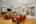 Blurred preview of media: 12-20475_SW_Comanche_Ter
