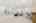 Blurred preview of media: Nerine_116