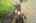 Blurred preview of media: 59