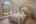 Blurred preview of media: PAX_3011