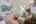Blurred preview of media: PAX_0165