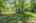 Blurred preview of media: _RKJ4268