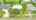 Blurred preview of media: DJI_0527