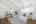 Blurred preview of media: 5106_Paseo_del_Pavon_016