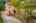 Blurred preview of media: 1-2