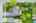 Blurred preview of media: 004